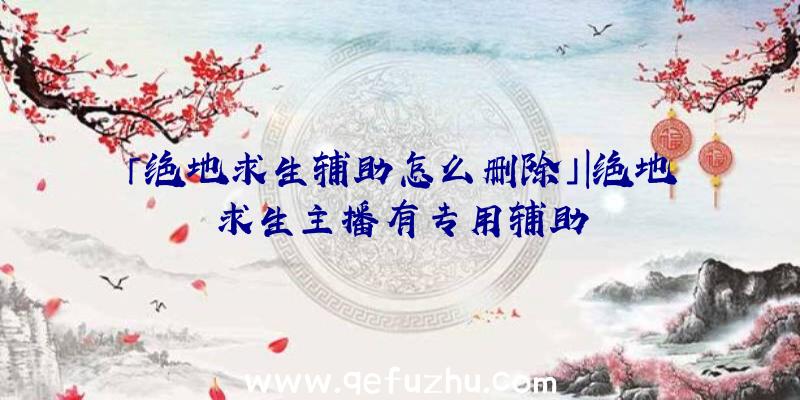 「绝地求生辅助怎么删除」|绝地求生主播有专用辅助